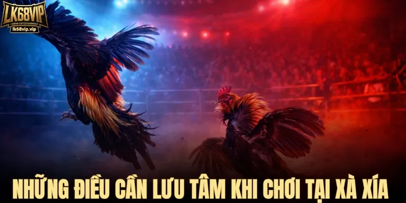 4 lưu ý quan trọng khi theo bồ gà Xà Xía trên LK68VIP