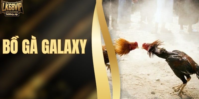 Bồ Gà Galaxy - Trực Tiếp Những Trận Chiến Kê Kinh Điển