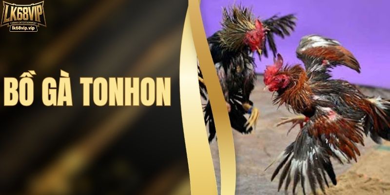 Bồ Gà Tonhon - Đấu Trường Kịch Tính Bậc Nhất Đông Nam Á