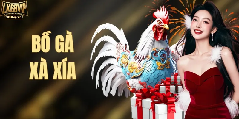 Bồ Gà Xà Xía | Đấu Trường Chọi Kê Đỉnh Cao Hot Nhất 2026