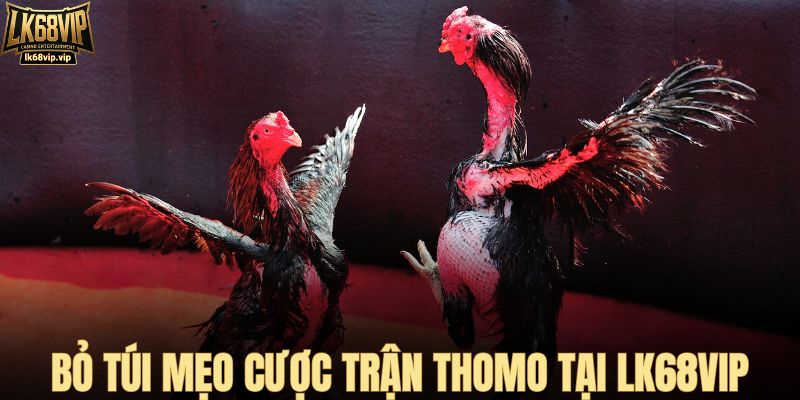 Bỏ túi mẹo cược trận Thomo tại LK68VIP