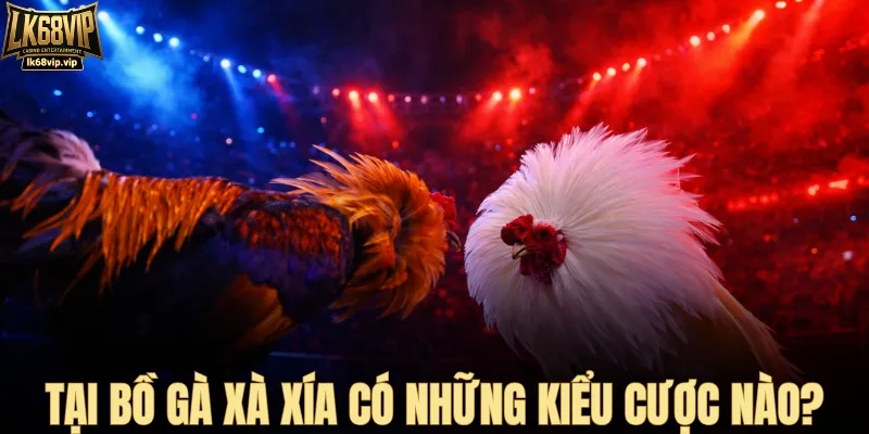 Các cửa cược được áp dụng tại bồ gà hiện tại