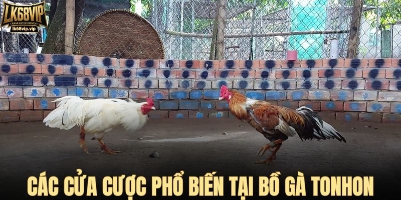 Các cửa cược phổ biến tại bồ gà Tonhon