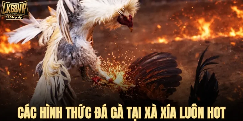 Các hình thức đá gà tại bồ gà xá xía