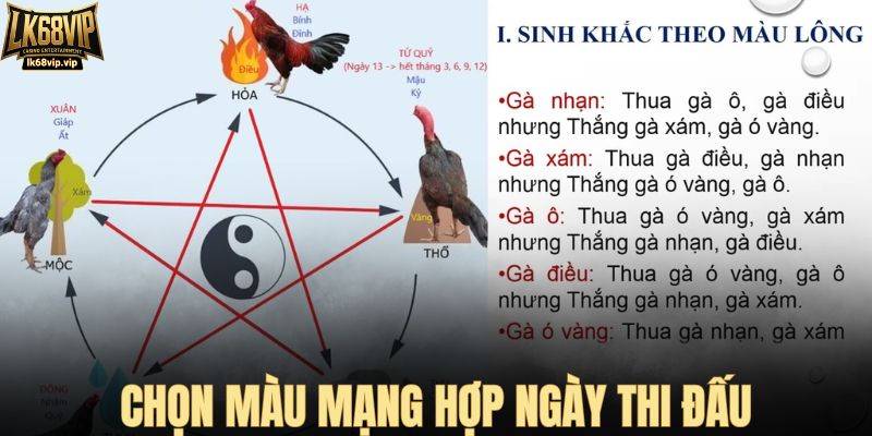 Chọn màu mạng hợp ngày thi đấu