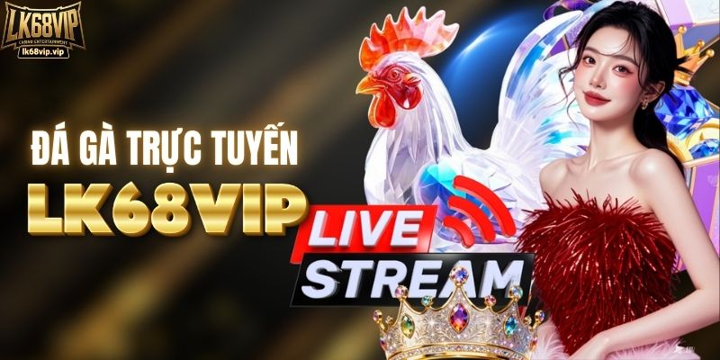 Chuyên mục đá gà cực kỳ lôi cuốn