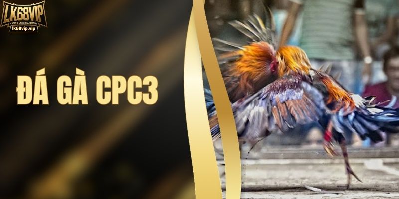 Đá Gà CPC3 - Khám Phá Đấu Trường Thomo Đầy Kịch Tính