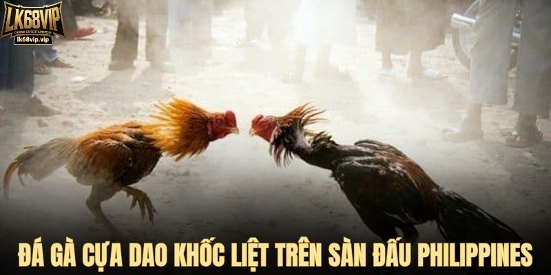 Đá gà cựa dao khốc liệt trên sàn đấu Philippines