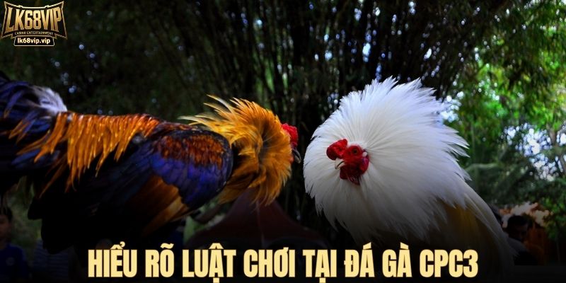 Hiểu rõ luật chơi tại đá gà CPC3