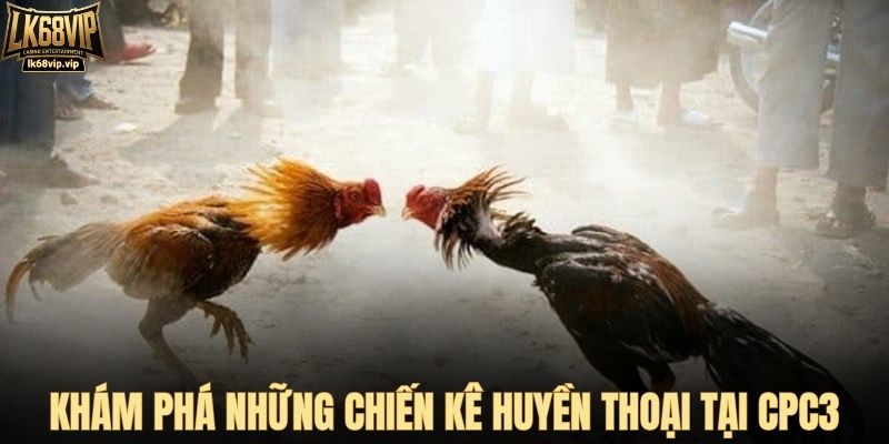 Khám phá những chiến kê huyền thoại tại CPC3