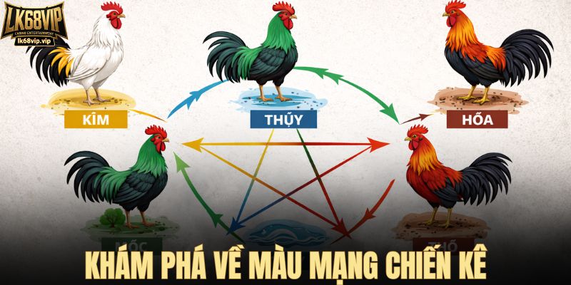 Khám phá về màu mạng chiến kê