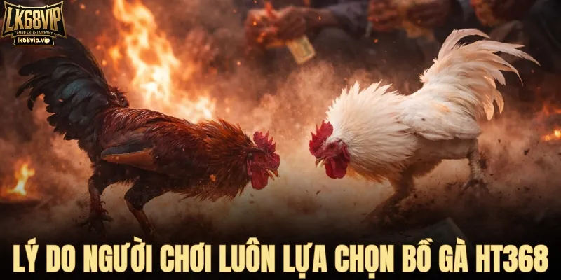 Lý do bồ gà Hà Tiên HT368 luôn giữ sức hút