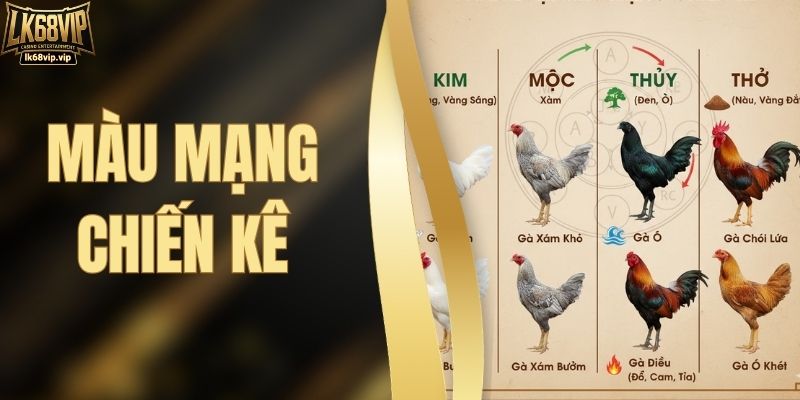 Màu Mạng Chiến Kê – Bí Quyết Chọn Gà Đá Hợp Mệnh Tại LK68VIP