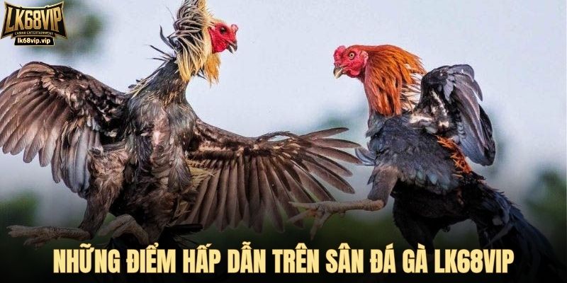 Những điểm hấp dẫn trên sân đá gà LK68VIP