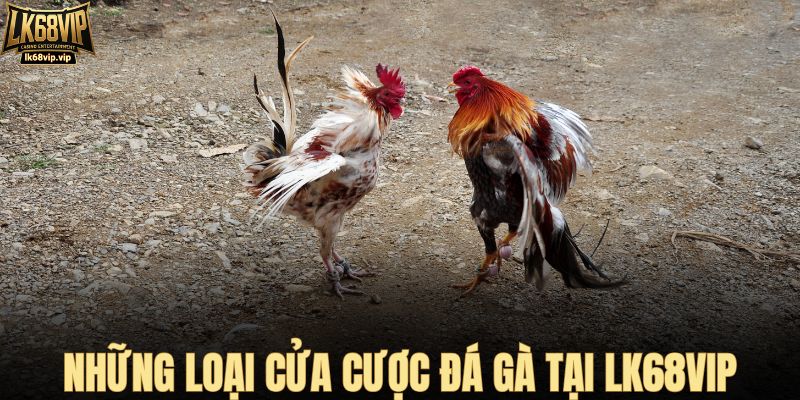 Những loại cửa cược đá gà tại LK68VIP