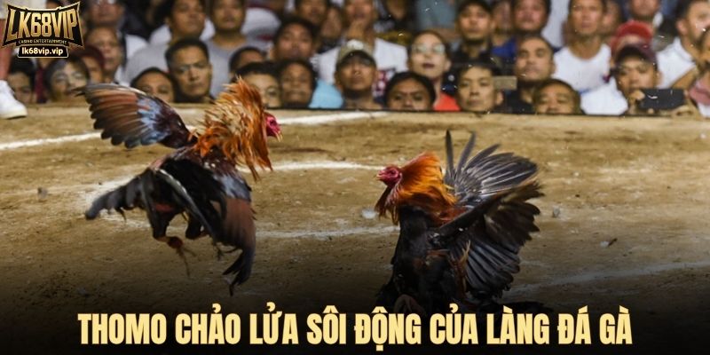 Thomo chảo lửa sôi động của làng đá gà