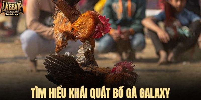 Tìm hiểu khái quát bồ gà Galaxy